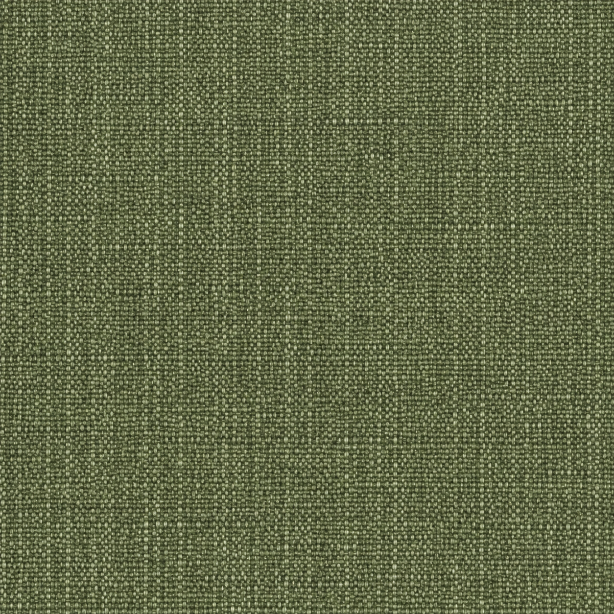 Willa Frond fabric swatch