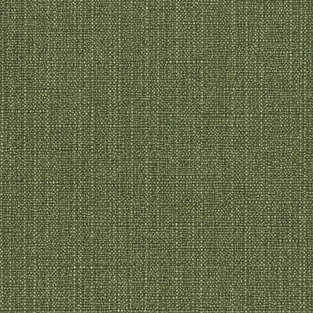 Close-up of Cove Willa Frond green Sunbrella fabric swatch